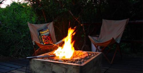 Barbecue/Braai fire